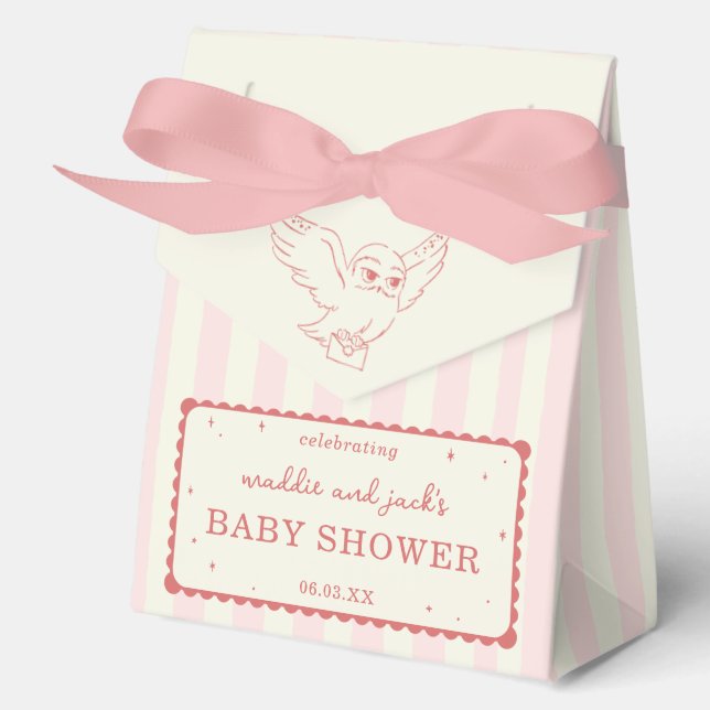 Harry Potter Hedwig Pink Stripe Baby Shower Geschenkschachtel (Vorderseite)