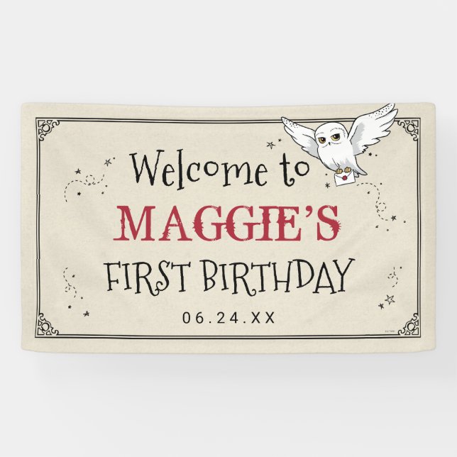 Harry Potter | Hedwig Special Delivery Birthday Banner (Horizontal)