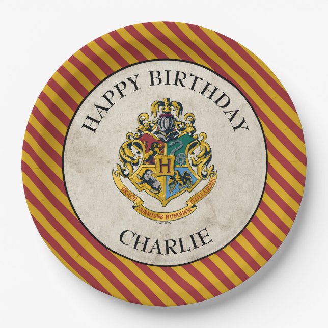 Harry Potter | Hogwarts Birthday Pappteller (Vorderseite)