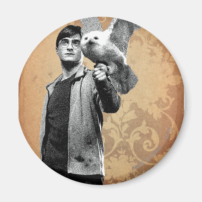 Harry Potter Magnet (Vorne)