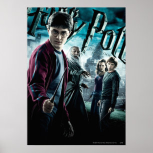 Harry Potter mit Dumbledore Ron und Hermione 1 Poster