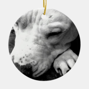 Harry Potter Narbe Hund weißer Pit Bull Keramik Ornament