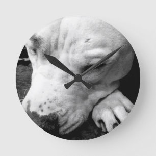 Harry Potter Narbe Hund weißer Pit Bull Runde Wanduhr