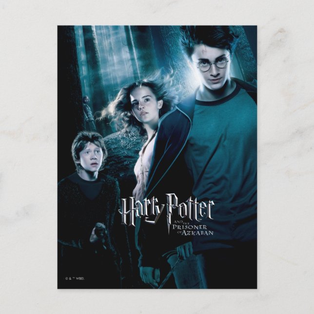 Harry Potter Ron Hermine Im Wald Postkarte (Vorderseite)