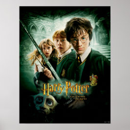 Harry Potter Ron Hermione Dobby Group Shot Poster