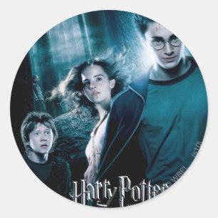 Harry Potter Ron Hermione im Wald Runder Aufkleber
