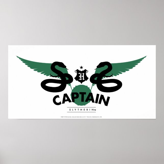 Harry Potter | SLYTHERIN™ House Quidditch Captain Poster (Vorne)