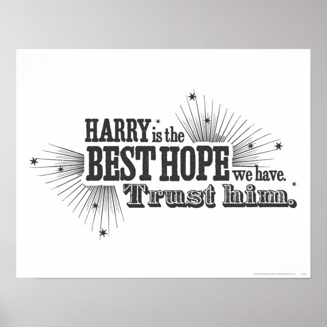 Harry Potter Spell | Unsere beste Hoffnung Poster (Vorne)