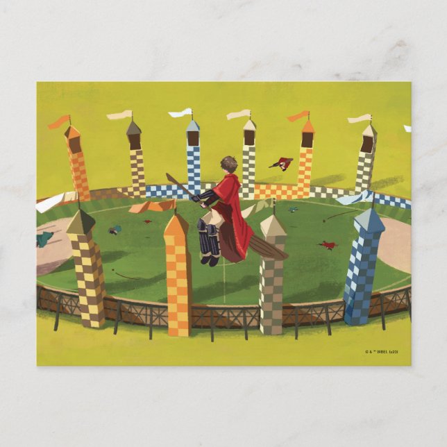 HARRY POTTER™ Suche nach dem goldenen Schnabel Postkarte (Vorderseite)
