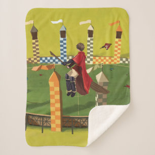 HARRY POTTER™ Suche nach dem goldenen Schnabel Sherpadecke