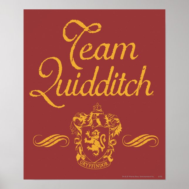 Harry Potter | Team QUIDDITCH™ Poster (Vorne)