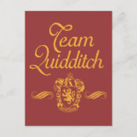 Harry Potter | Team QUIDDITCH™