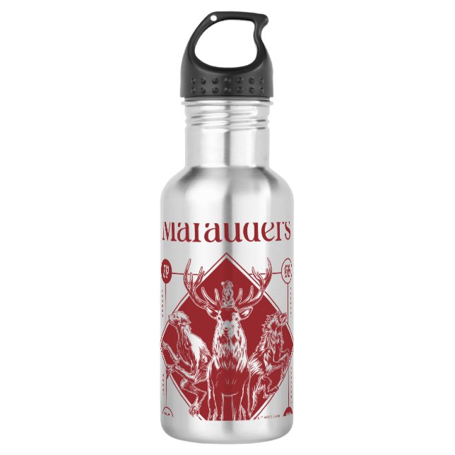 HARRY POTTER™ The Marauders Animagus Graphic Edelstahlflasche (Vorderseite)