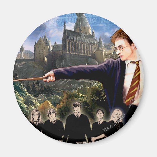 HARRY POTTER UND DIE BESTELLUNG DES PHOENIX™ MAGNET (Vorne)