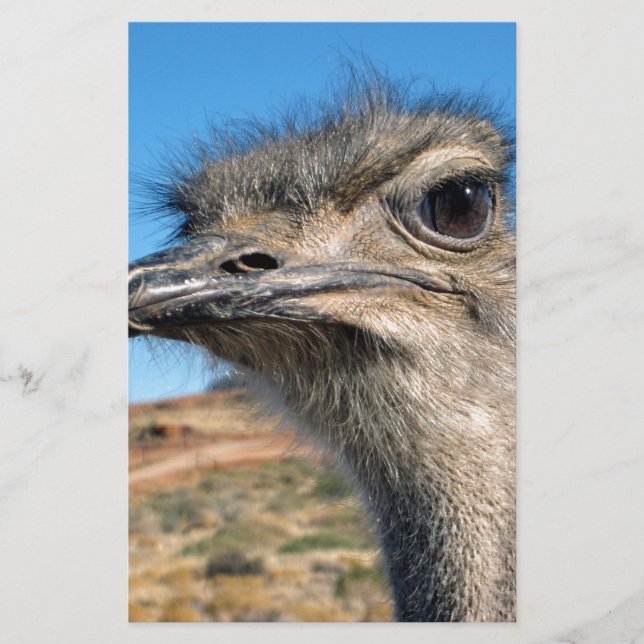 Harry the Happy Ostrich Briefpapier (Vorderseite)