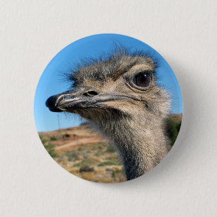 Harry the Happy Ostrich Button