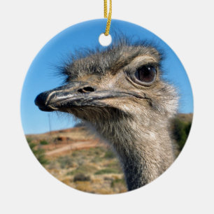 Harry the Happy Ostrich Keramik Ornament