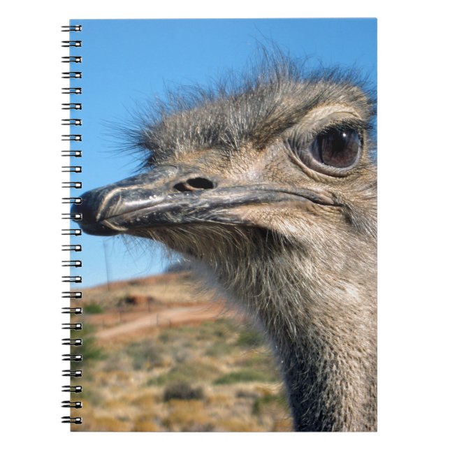 Harry the Happy Ostrich Notizblock (Vorderseite)