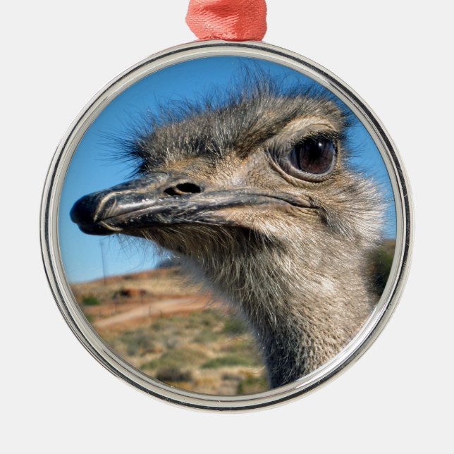 Harry the Happy Ostrich Silbernes Ornament (Vorne)