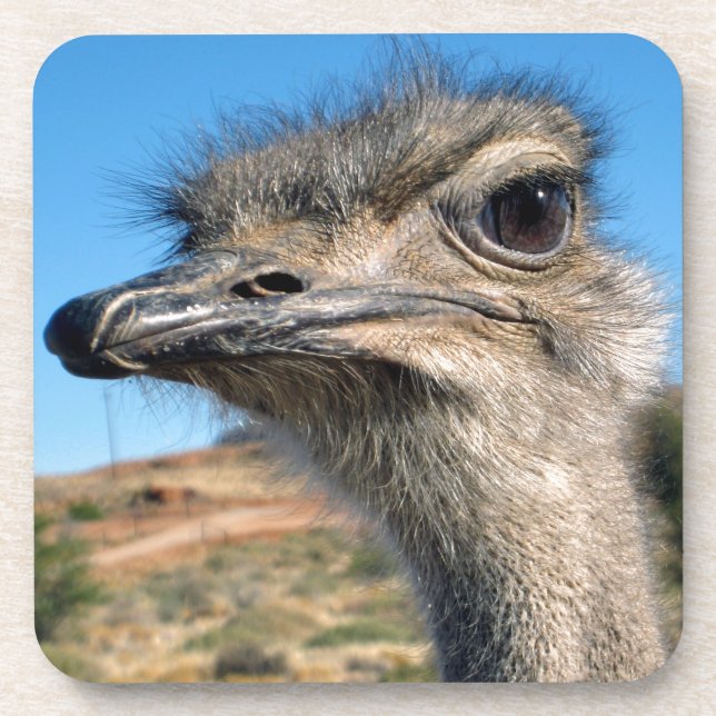 Harry the Happy Ostrich Untersetzer (Vorderseite)