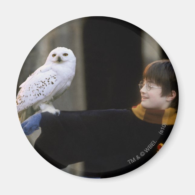 Harry und Hedwig 3 Magnet (Vorne)