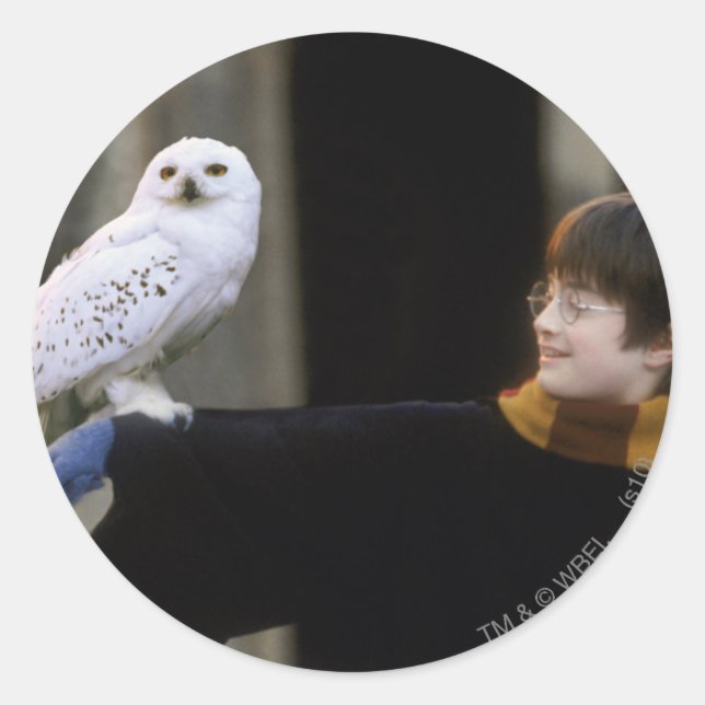 Harry und Hedwig 3 Runder Aufkleber (Vorderseite)