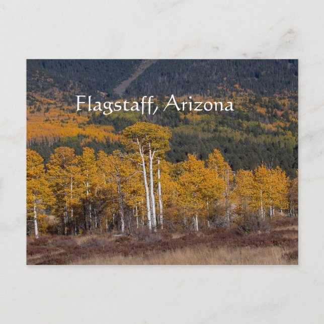 Hart Prairie Flagstaff, Arizona Postkarte (Vorderseite)
