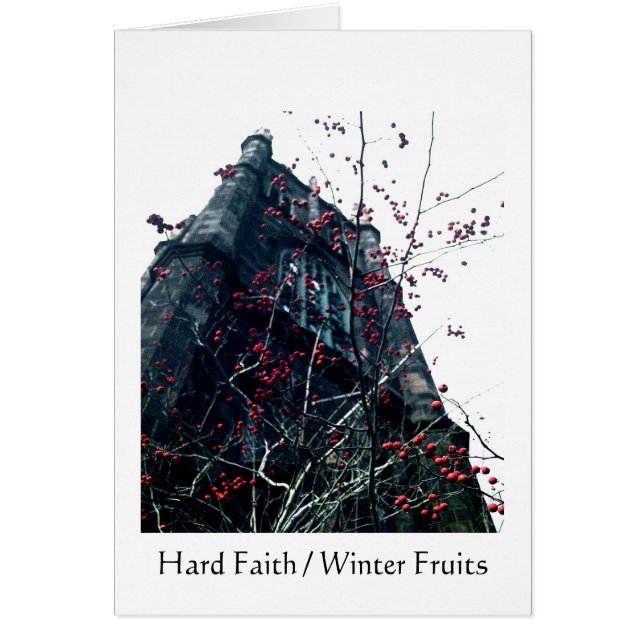 Harte Glauben-/Winter-Früchte (Vorne)