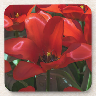 Harte PlastikUntersetzer der roten Blumen mit Untersetzer