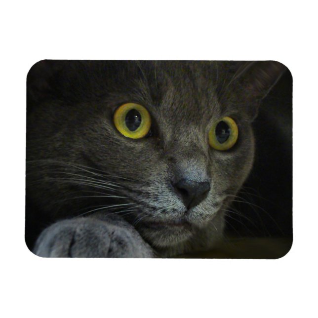 Härteflexibilität Magnet (Horizontal)