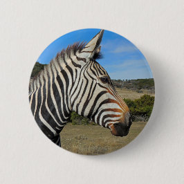 Hartmanns Zebra-Profil bei Fossil Rim Button