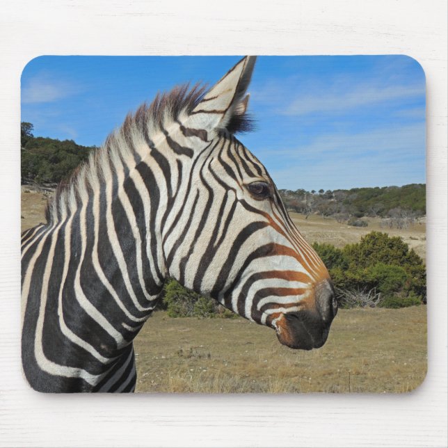 Hartmanns Zebra-Profil bei Fossil Rim Mousepad (Vorne)