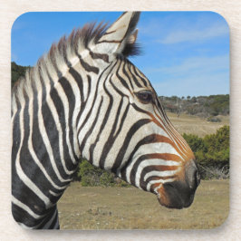 Hartmanns Zebra-Profil bei Fossil Rim Untersetzer