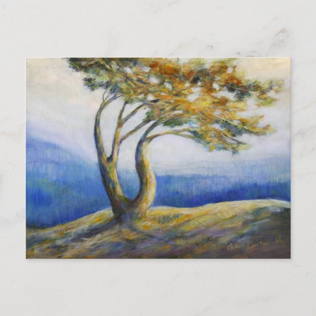 Hartnäckige Postkarte (Vorderseite)