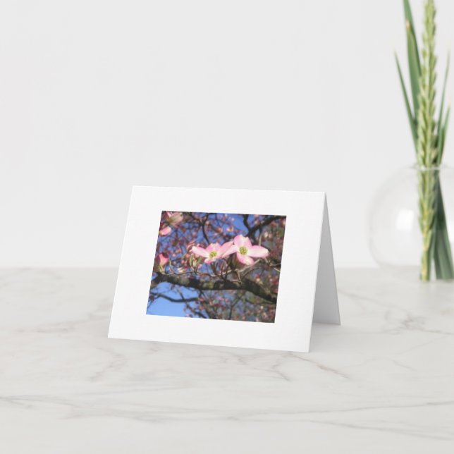 Hartriegel-Baum Notecard Karte (Vorderseite)