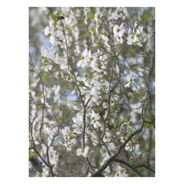 Hartriegel-Baum-weiße Blumen-Blüten Tischdecke (Vorderseite)