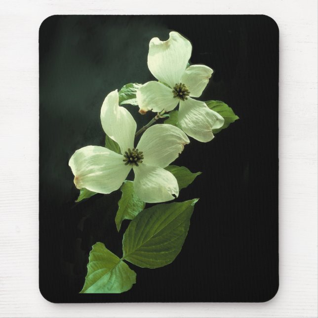 Hartriegel Blossum Mousepad (Vorne)