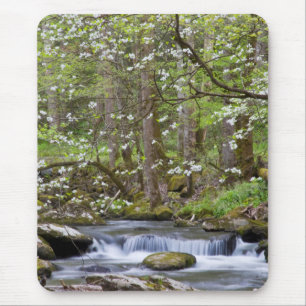 Hartriegelbäume   Great Smoky Mountain, Tennessee Mousepad