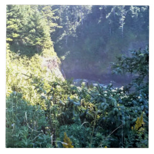 Hart's Cove, Oregon Coast Fliese