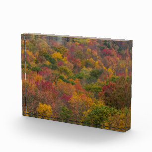 Hartwald in Randolph County, West Virginia Fotoblock