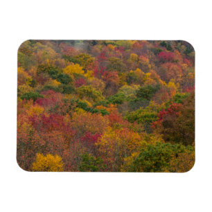 Hartwald in Randolph County, West Virginia Magnet