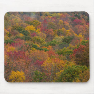 Hartwald in Randolph County, West Virginia Mousepad