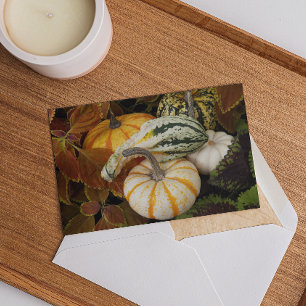 Harvest Squash Thanksgiving Dinner Invitation