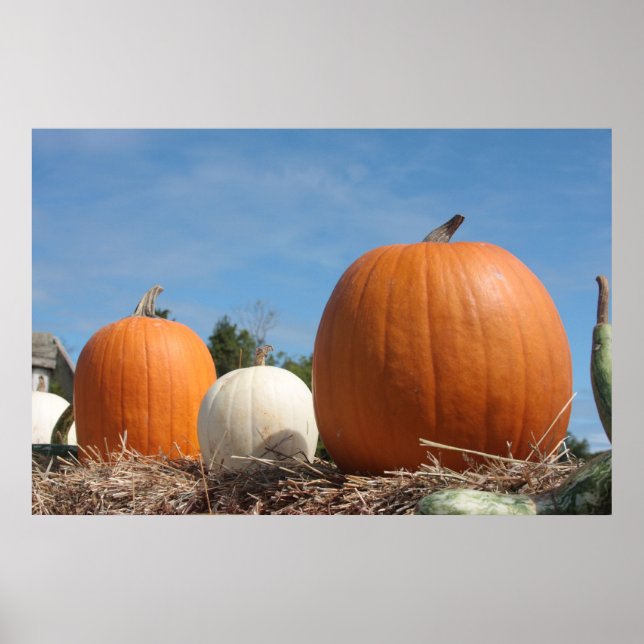 HARVEST ZEIT!!!! POSTER (Vorne)
