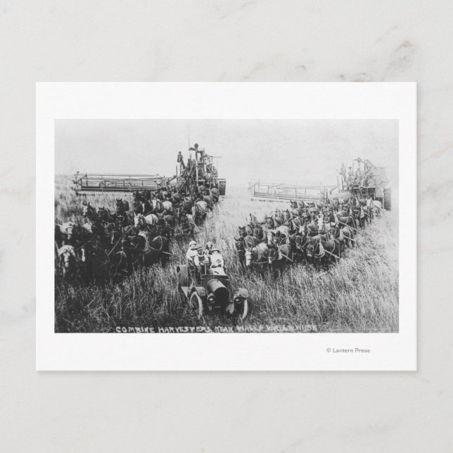 Harvester Scene kombinieren Postkarte (Vorderseite)