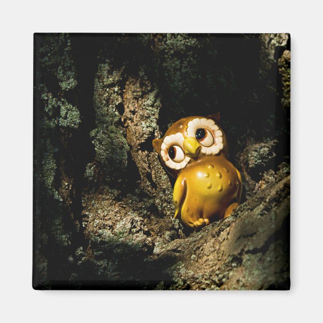 Harvey the Owl I Magnet (Vorne)
