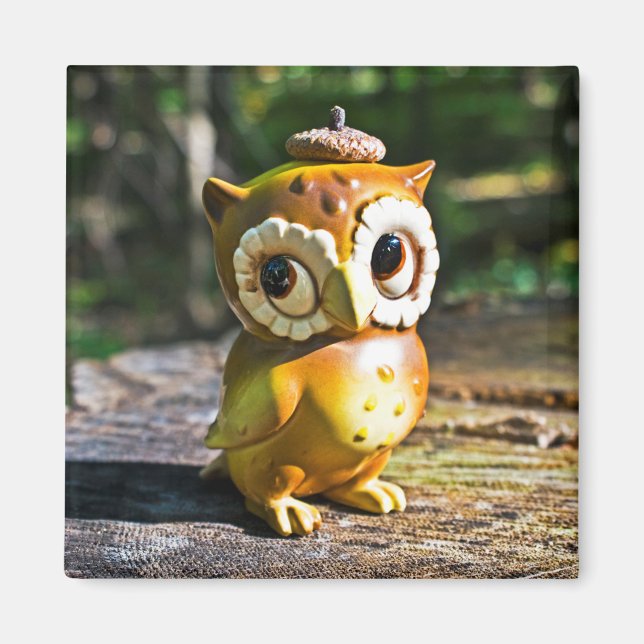 Harvey the Owl III Magnet (Vorne)