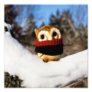 Harvey the Owl IV Fotodruck