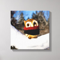 Harvey the Owl IV