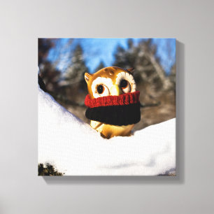 Harvey the Owl IV Leinwanddruck